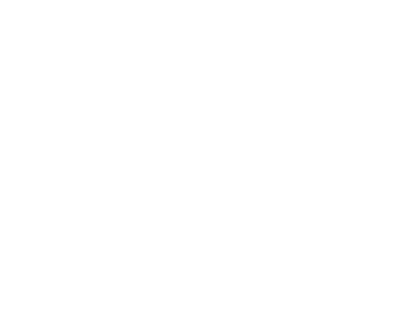 shipping icon